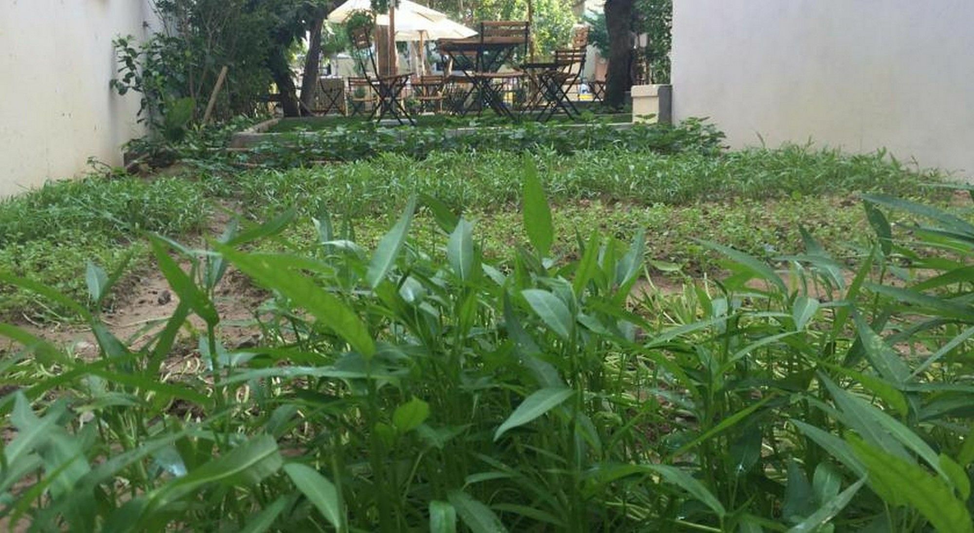 Heritage Homestay Hoi An Exterior foto